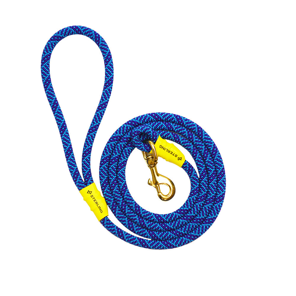 Dog Leash