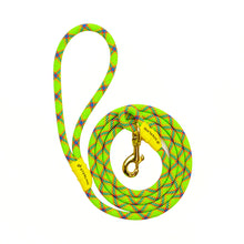 Last inn bildet i Galleri-visningsprogrammet, Dog Leash
